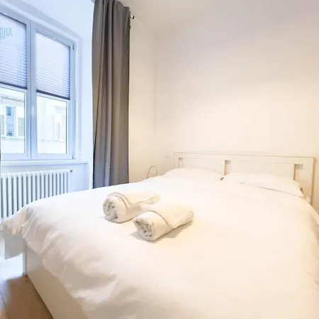 Imbriani 4s Tirabora Short Rent *