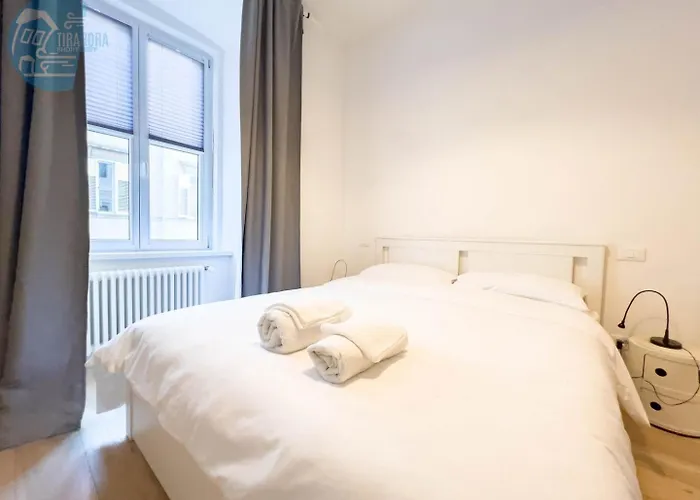 Imbriani 4s Tirabora Short Rent *